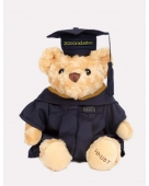 Graduation Bear (Bachelor's Degree)