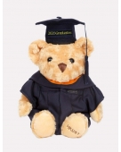 Graduation Bear (Bachelor's Degree)