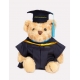 Graduation Bear (Master's Degree)