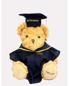 Graduation Bear (Master's Degree)