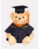 Graduation Bear (Master's Degree)