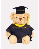Graduation Bear (Master's Degree)